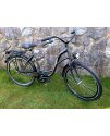 MATEO ECO RETRO BICYKEL 26" CHAMELEON 2024